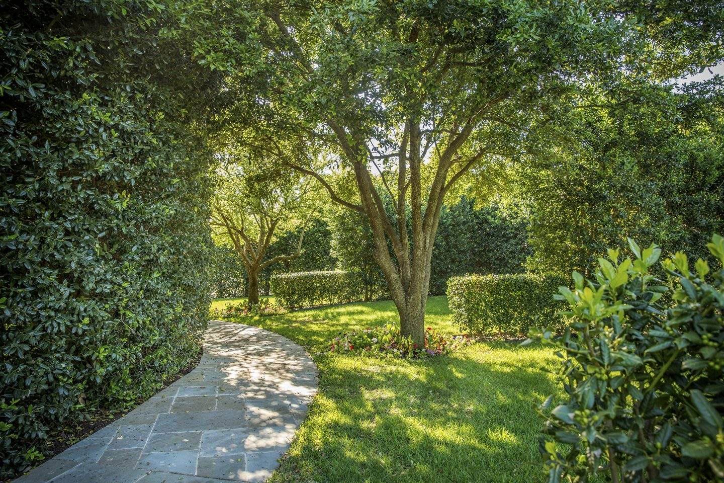Shaded stone path through hedges